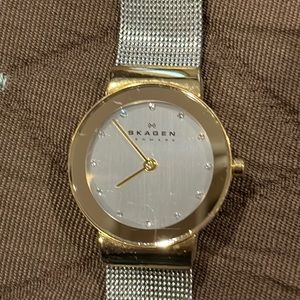 Skagen stainless steel ladies watch